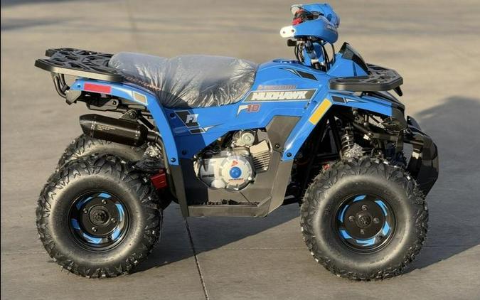 2026 Denago Powersports Mudhawk 10 FI