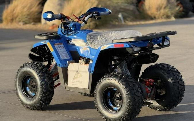 2026 Denago Powersports Mudhawk 10 FI