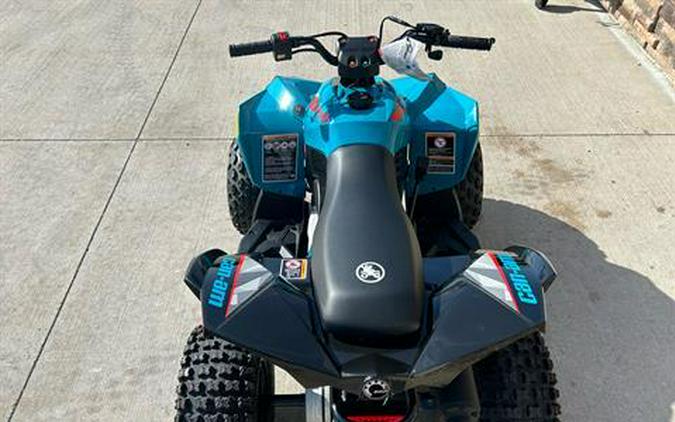 2024 Can-Am Renegade 70 EFI