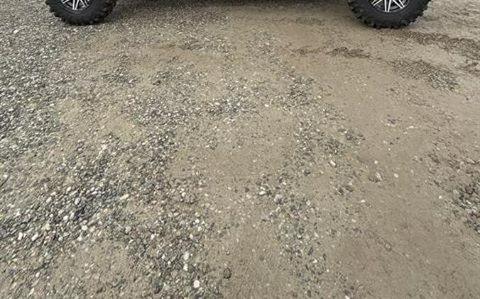 2025 Kawasaki Teryx KRX4 1000