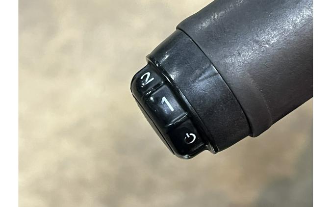 2010 Harley-Davidson® FLHTK