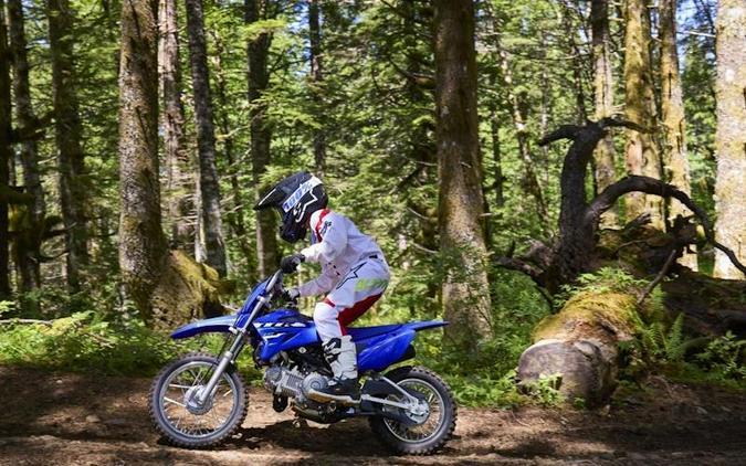 2026 Yamaha TT-R110E