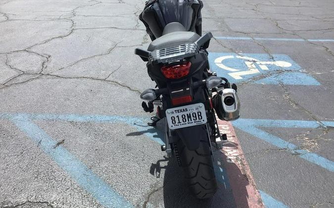 2025 SUZUKI V-STROM 650