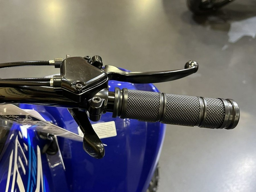 2026 Yamaha Raptor 110