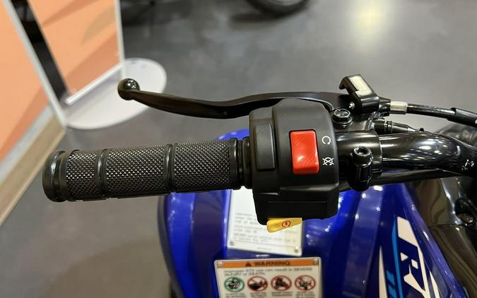 2026 Yamaha Raptor 110