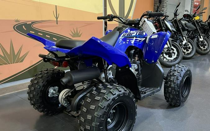 2026 Yamaha Raptor 110