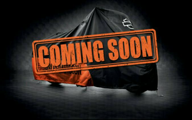 2023 Harley-Davidson Nightster Special