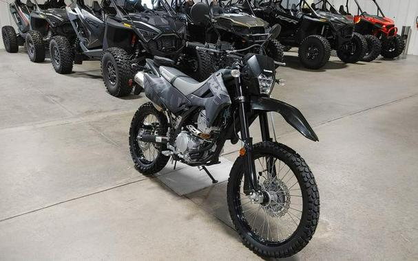 2024 Kawasaki KLX®300 Cypher Camo Gray