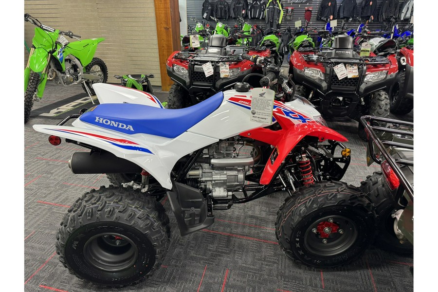 2026 Honda TRX 250X