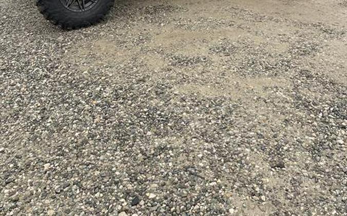 2025 Kawasaki Teryx KRX4 1000 eS