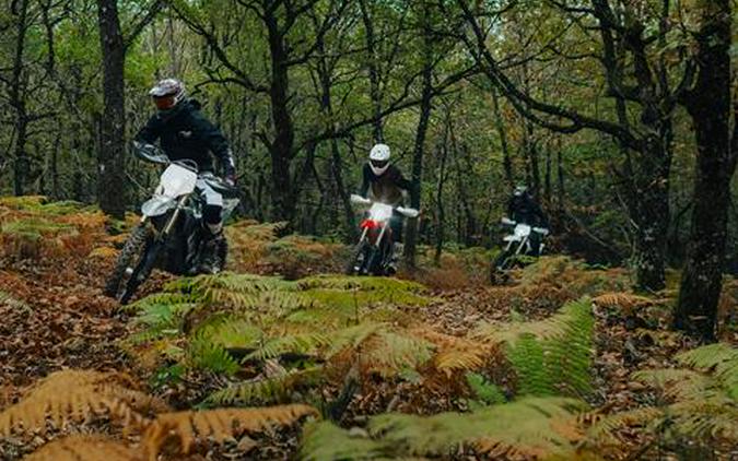 2025 Stark VARG EX 60 hp