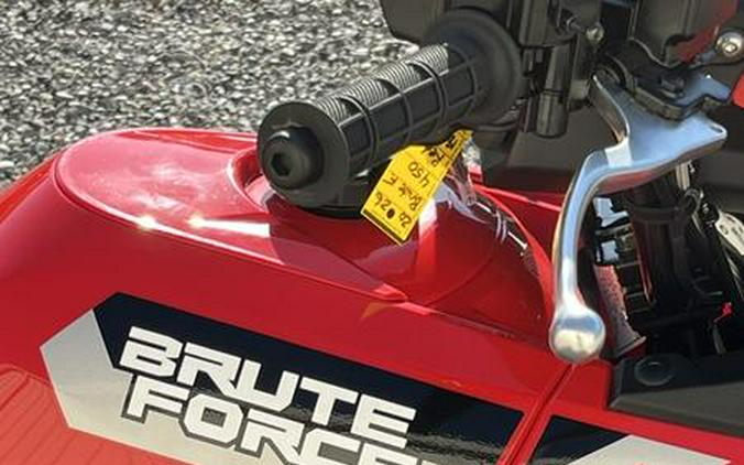 2026 Kawasaki Brute Force® 450 4X4