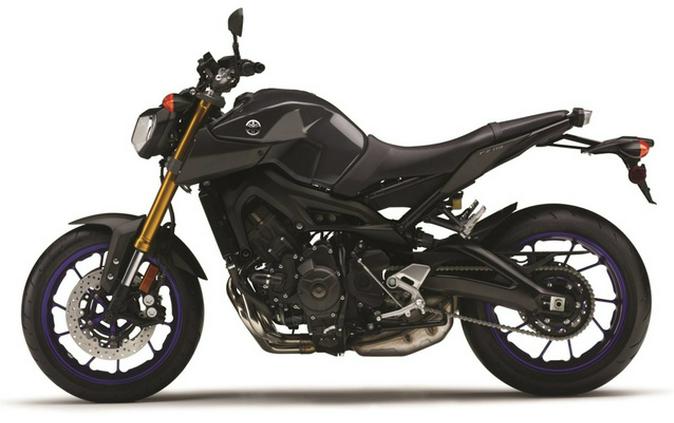 2014 Yamaha FZ 09