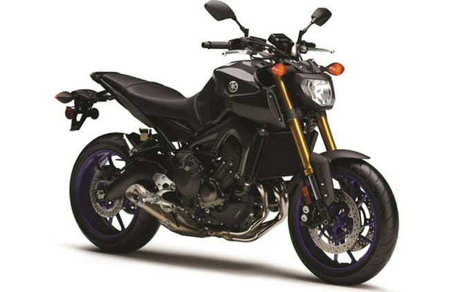 2014 Yamaha FZ 09