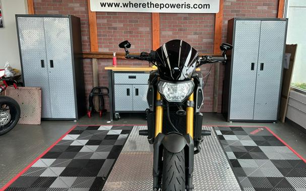 2014 Yamaha FZ 09