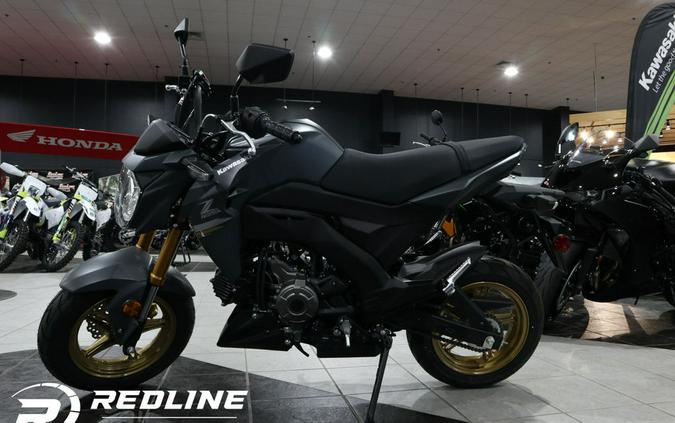 2024 Kawasaki Z125 PRO