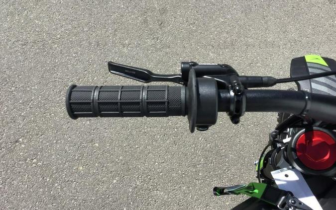 2026 Rawrr Mantis Mini R