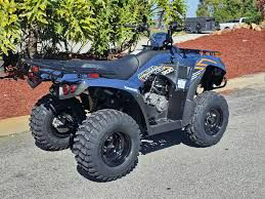 2024 Kawasaki Brute Force 300