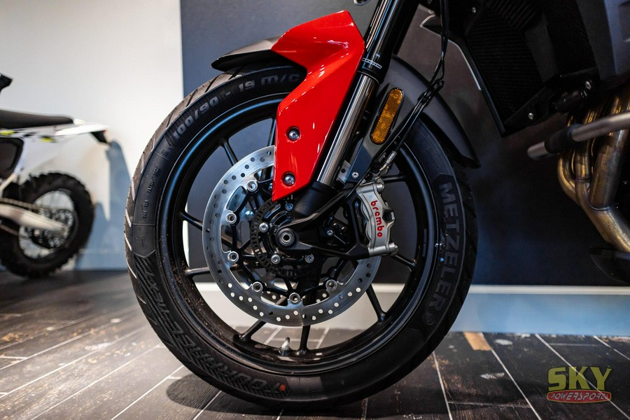2024 Triumph TIGER 900 GT ARAGON EDITION Euro 5a GT Edition
