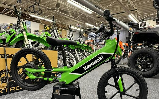 2023 Kawasaki Elektrode™