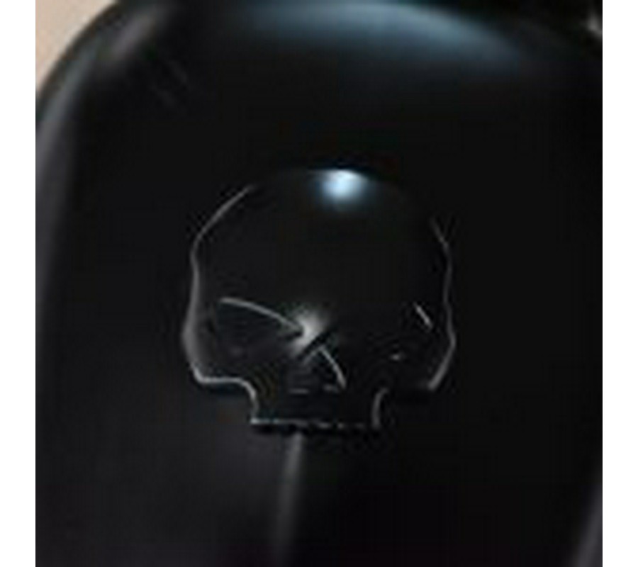 2021 Harley Davidson Iron 883