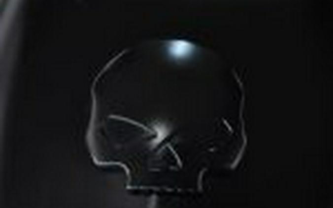 2021 Harley Davidson Iron 883