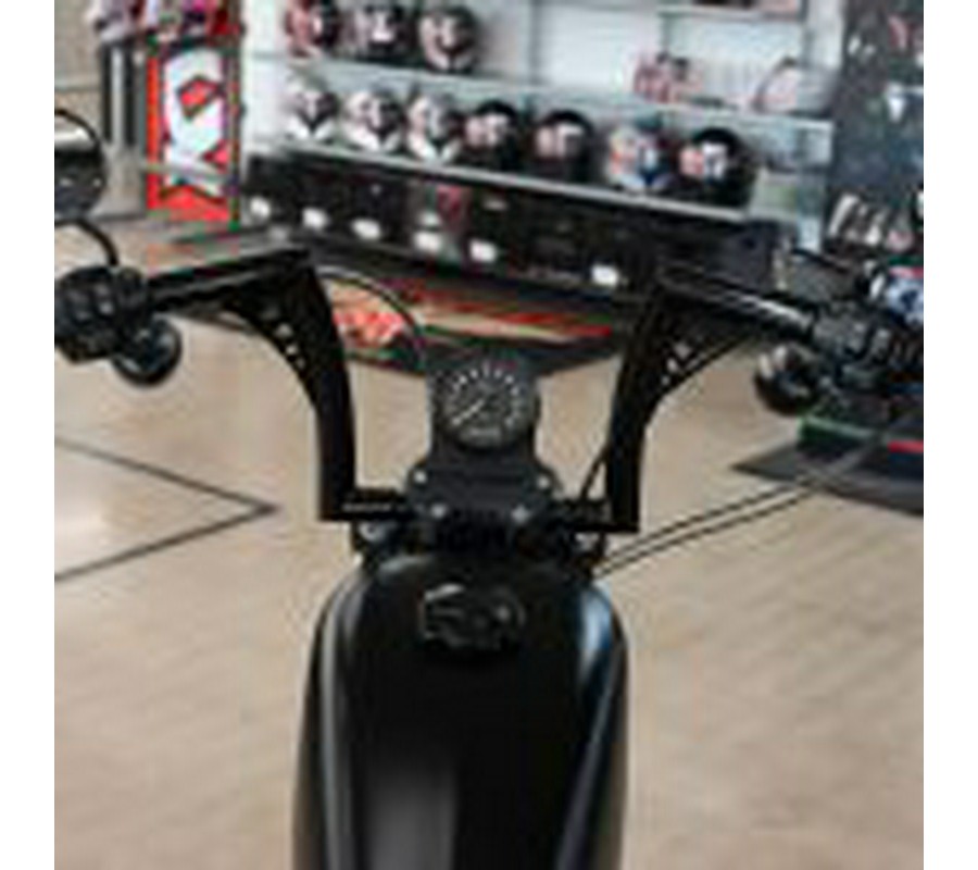 2021 Harley Davidson Iron 883