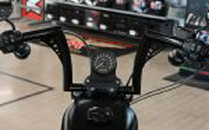 2021 Harley Davidson Iron 883