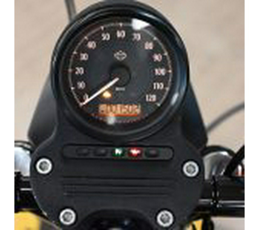 2021 Harley Davidson Iron 883