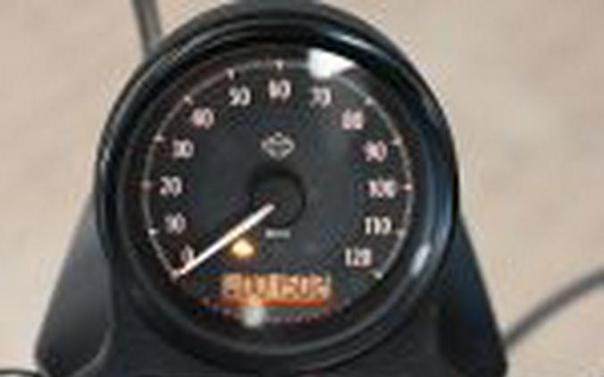 2021 Harley Davidson Iron 883