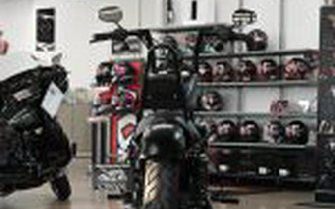 2021 Harley Davidson Iron 883