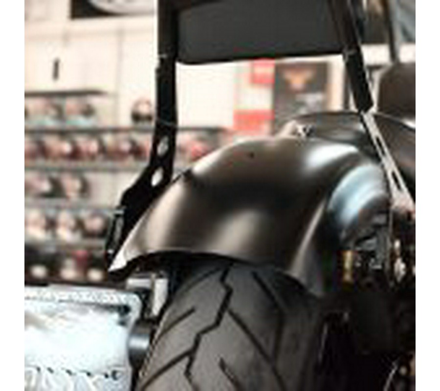 2021 Harley Davidson Iron 883