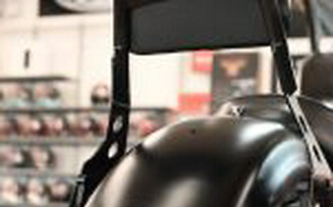 2021 Harley Davidson Iron 883