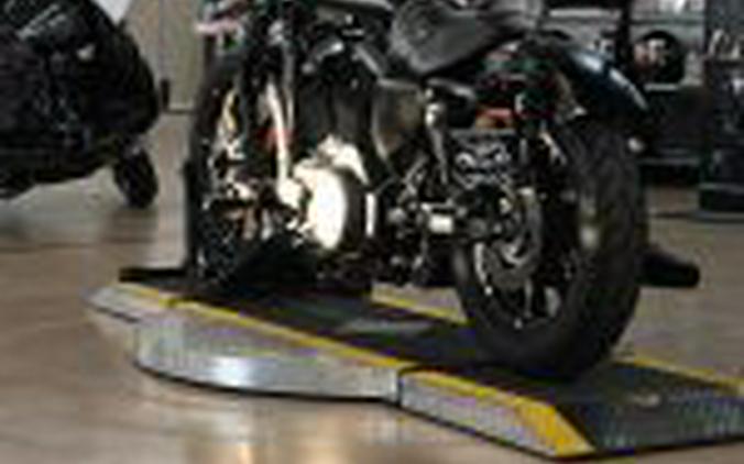 2021 Harley Davidson Iron 883