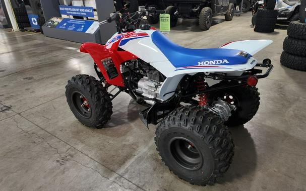 2026 Honda TRX® 250X
