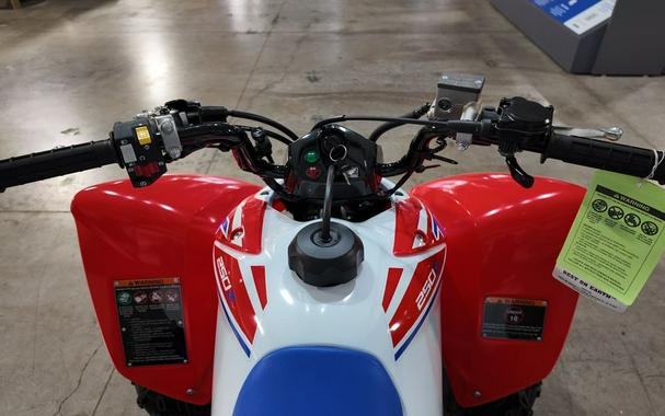 2026 Honda TRX® 250X