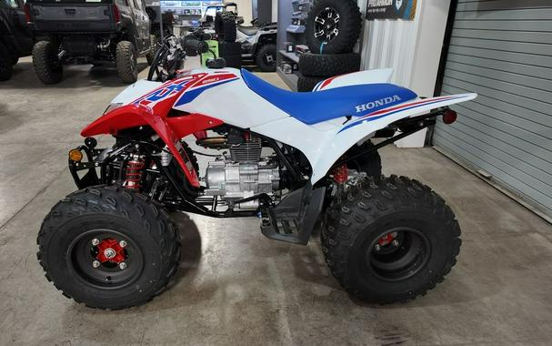 2026 Honda TRX® 250X