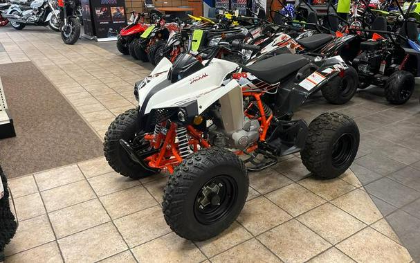 2021 Kayo 200 Jackal