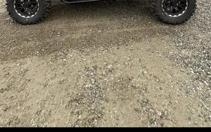 2025 Kawasaki Teryx4 S LE