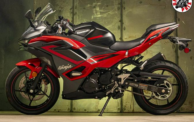 2024 Kawasaki Ninja 500 Review [14 Fast Facts]