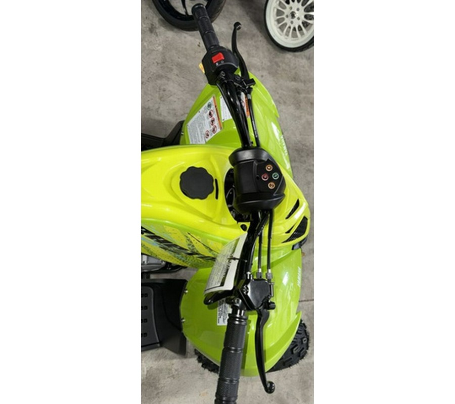 2026 Yamaha Raptor 110