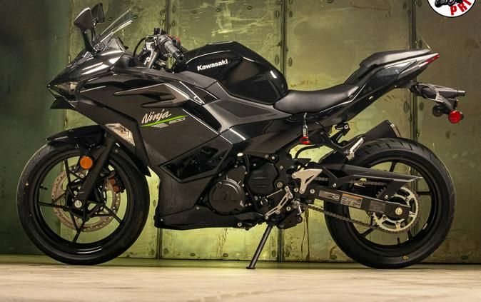 2024 Kawasaki Ninja 500 Review [14 Fast Facts]