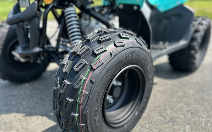 2025 Yamaha Raptor 110