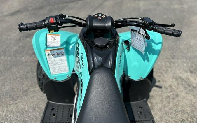 2025 Yamaha Raptor 110