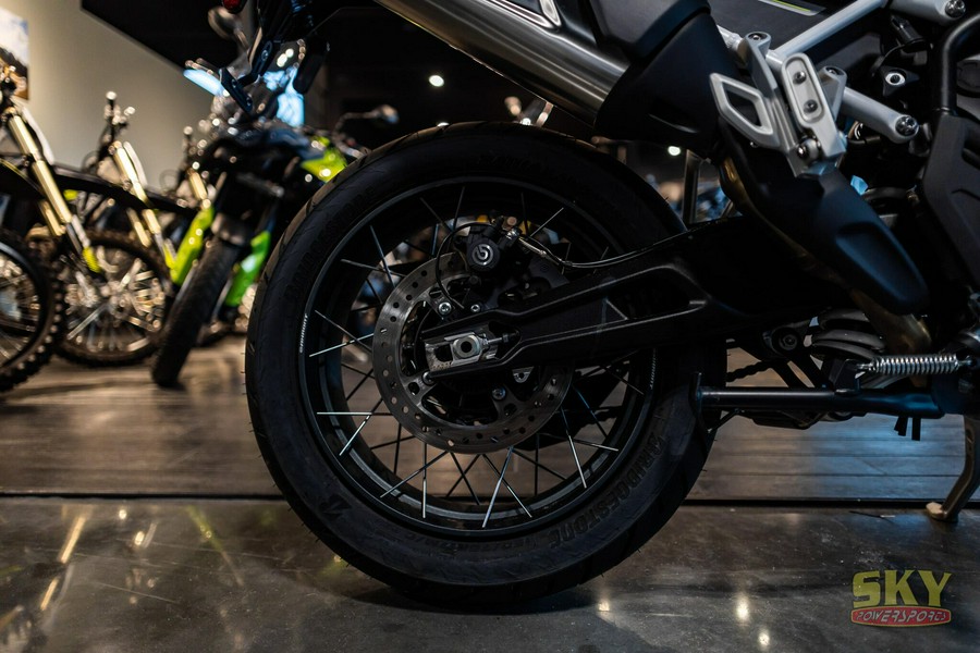 2025 Triumph Tiger 900 Rally Pro