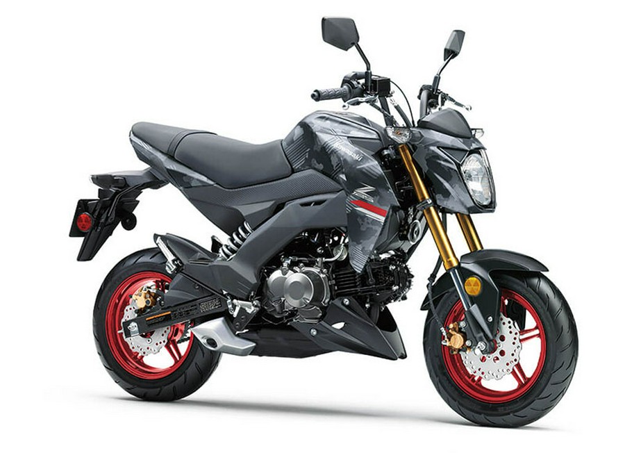 2024 Kawasaki Z125 PRO Base