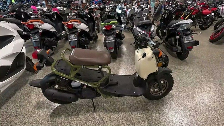 2024 Honda Ruckus