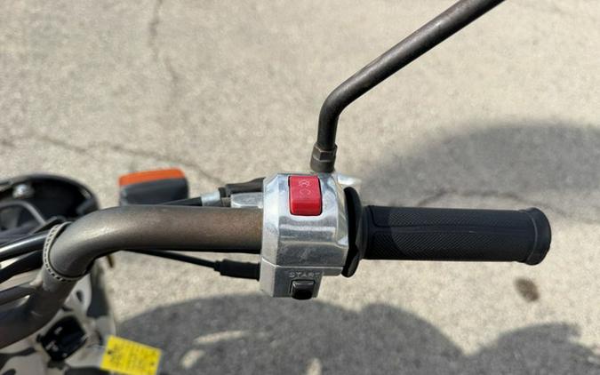 2006 Honda Ruckus