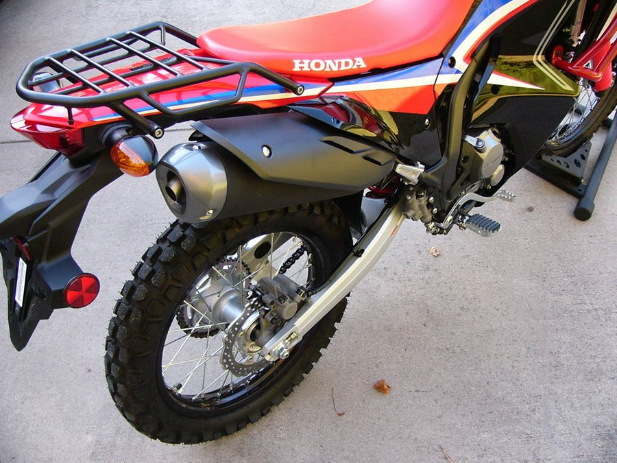 2021 Honda® CRF300L Rally