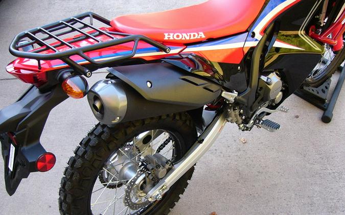 2021 Honda® CRF300L Rally